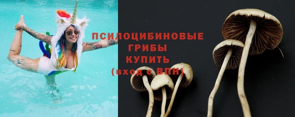 трава Абаза