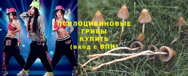 ALPHA PVP Алзамай