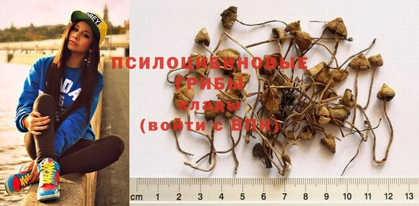 молекула духа Абдулино