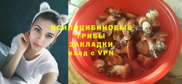 молекула духа Абдулино