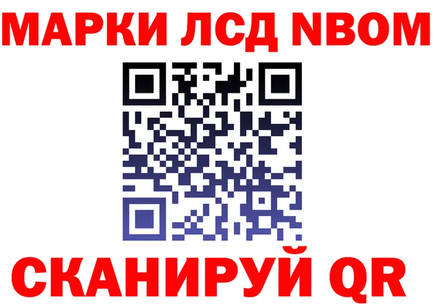 Альфа ПВП СК КРИС маркетплейс мориарти omg Североморск