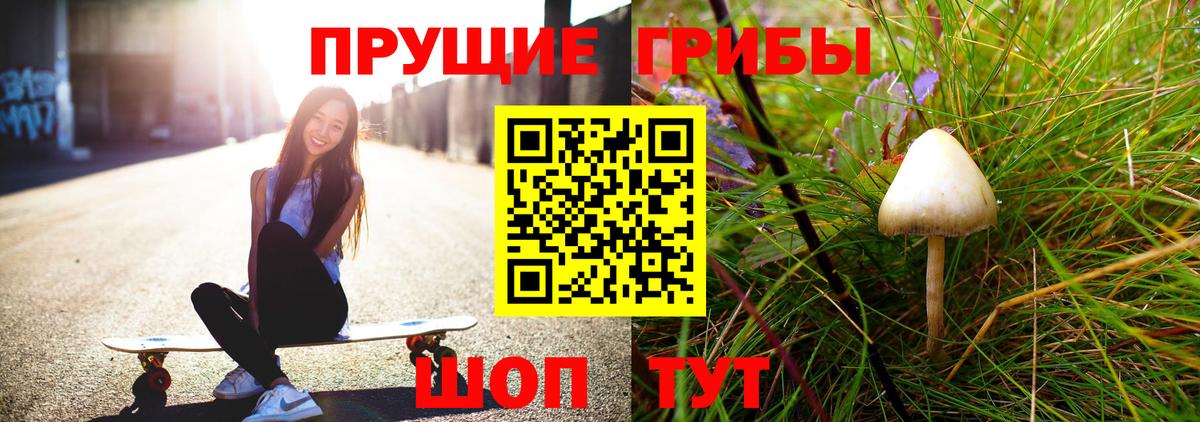 Североморск  Галлюциногенные грибы Psilocybine cubensis  Вход с VPN 